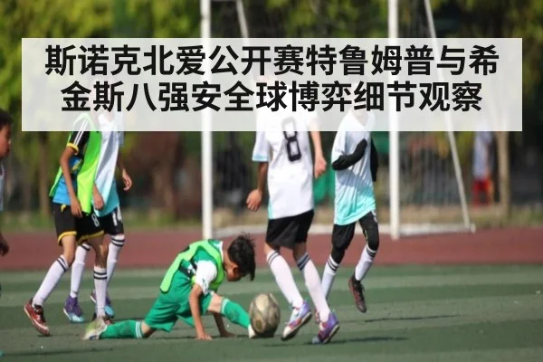 斯诺克北爱公开赛特鲁姆普与希金斯八强安全球博弈细节观察