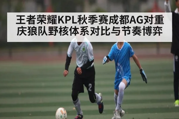 王者荣耀KPL秋季赛成都AG对重庆狼队野核体系对比与节奏博弈